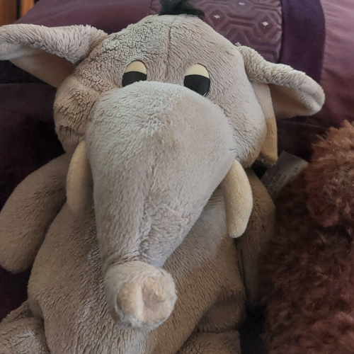elefant