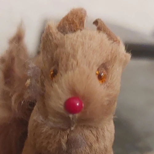 squirrelN