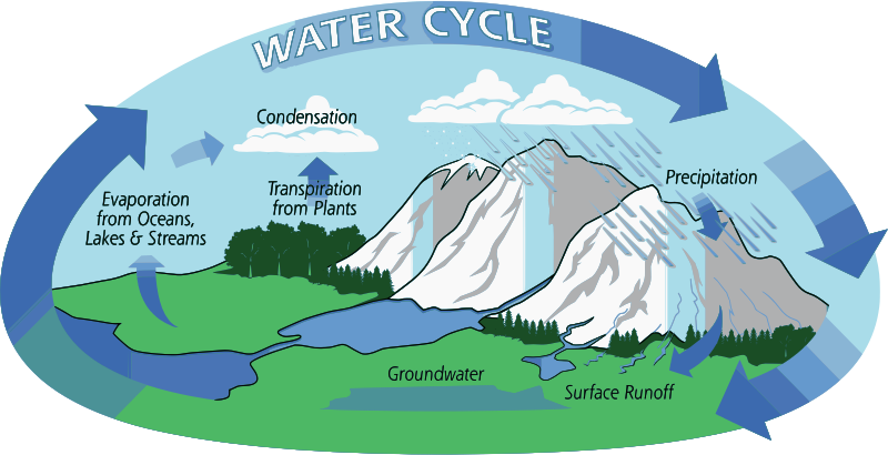 water cycle